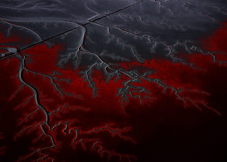 ArtPhotography Nature Watttenmeer 7