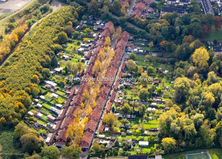 Luftbild Herbstluftbild Mehrfamilienhaussiedlung in Essen im Bundesland Nordrhein-Westfalen, Deutschland